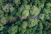 tree-4387750_1920.jpg tree-4387750_1920.jpg